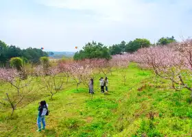 Huahai Zhiyin Scenic Spot