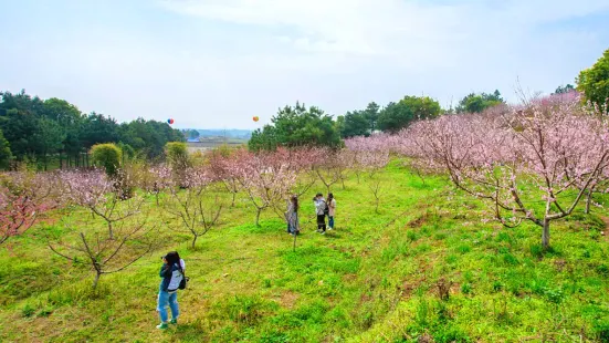 Huahai Zhiyin Scenic Spot