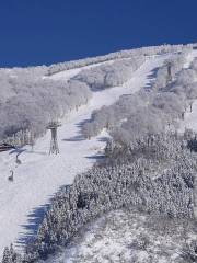 六日町八海山滑雪場