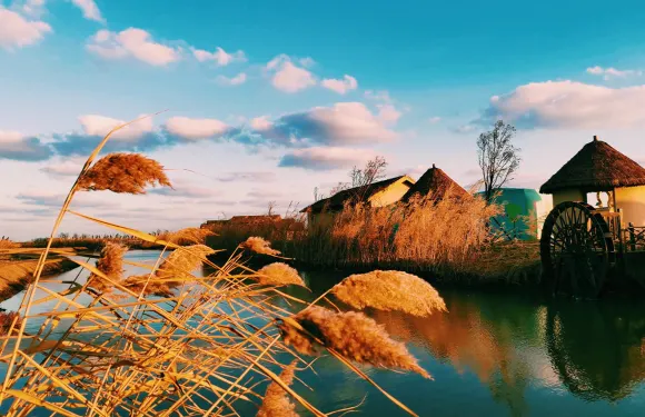 龍灣海上田園門票優待（小童/長者）