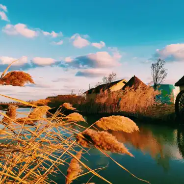 Сеть Ease в г. Цидун 