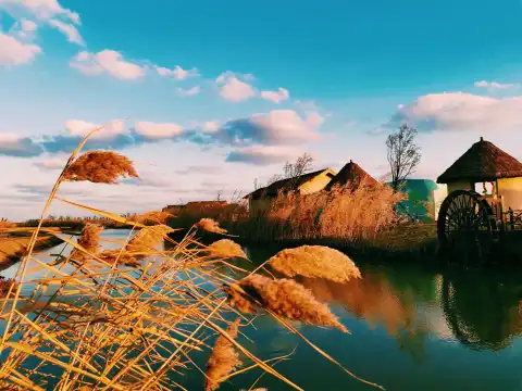 鄰近龍灣海上田園的酒店