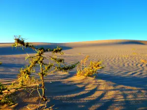 Yulong Sand Lake