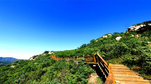 Daheishan Forest Park