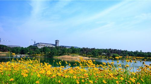 Qingsongling Forest Park