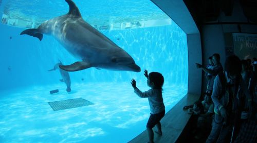 九十九島水族館