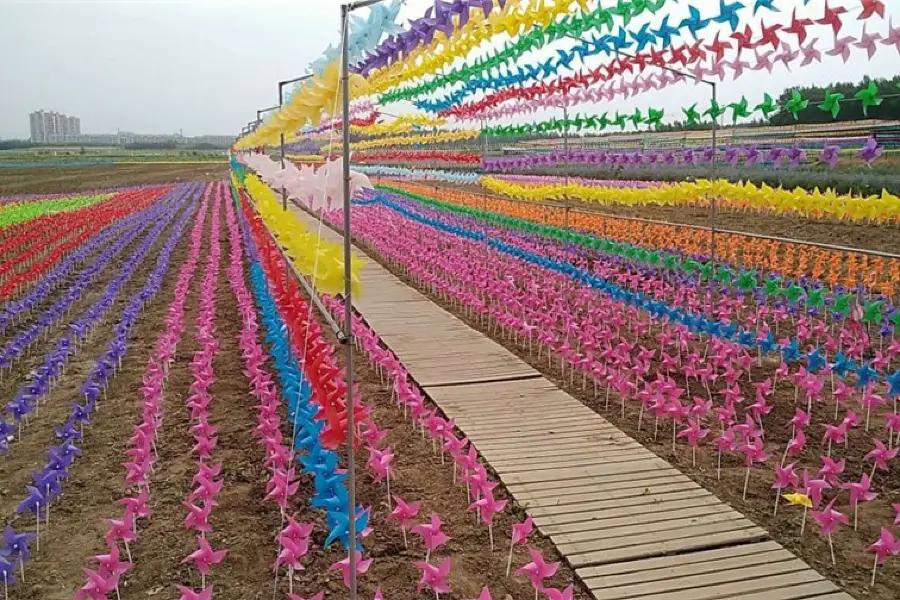 鐵嶺萬畝花海