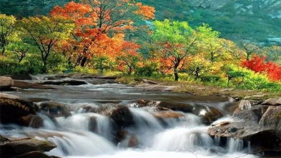 Shengshuiliang Jiulong Bay Scenic Area