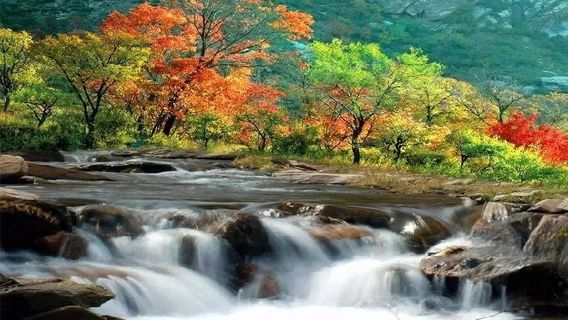 Shengshuiliang Kowloon Bay Scenic Area