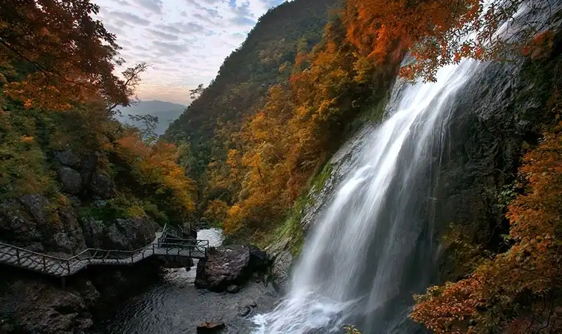 Hotels near Shenlong Valley