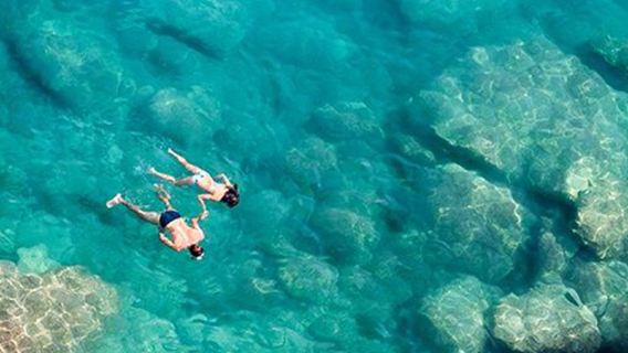 [Dekat Kepulauan Similan | pemandu wisata Bahasa Mandarin/Inggris] perjalanan satu hari Snorkeling ke Kepulauan Surin, Thailand, Phuket