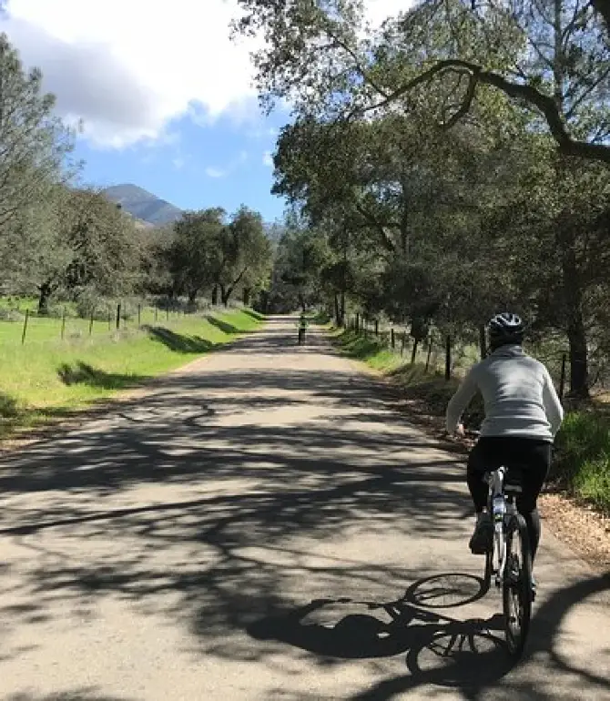 Wine Country Half-Day Bike Tour from Solvang - w/o Lunch