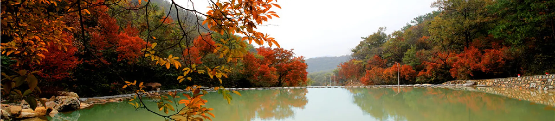Fall Viewing Attractions