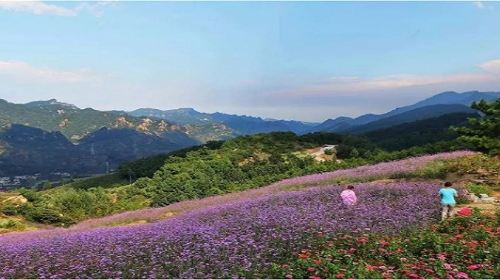 Nantian Lijing Forest Park