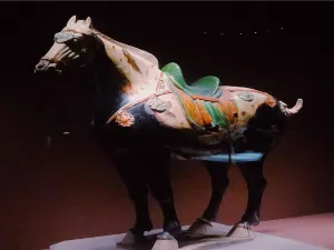 Luoyang Museum