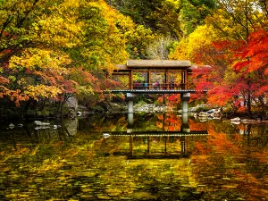 Pushi River Forest Park