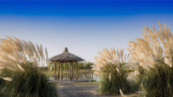 Zhuhu Town, Yangzhou