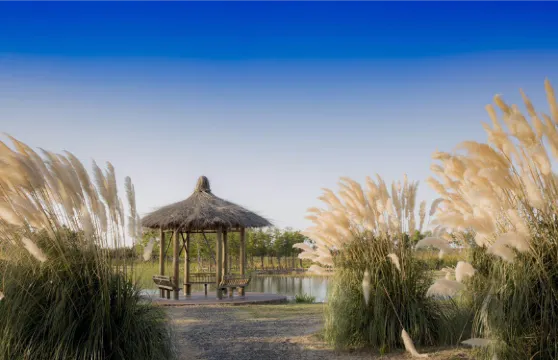 揚州珠湖小镇門票成人