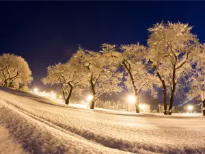 Yuzawa Maiko湯澤舞子滑雪場