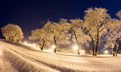 Maiko Snow Resort Ski Center