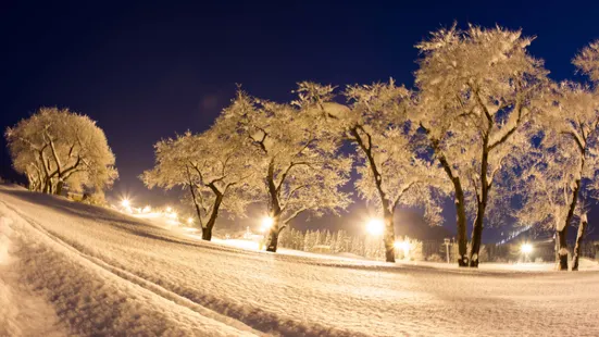 Yuzawa Maiko湯澤舞子滑雪場