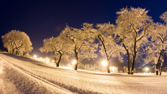 Maiko Snow Resort Ski Center
