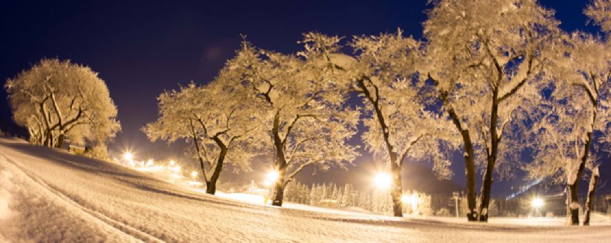 Maiko Snow Resort Ski Center