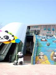大連熊貓館