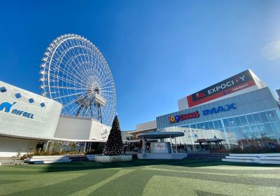 Redhorse Osaka Wheel