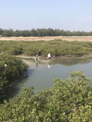 Guanfu Beach Combing Area