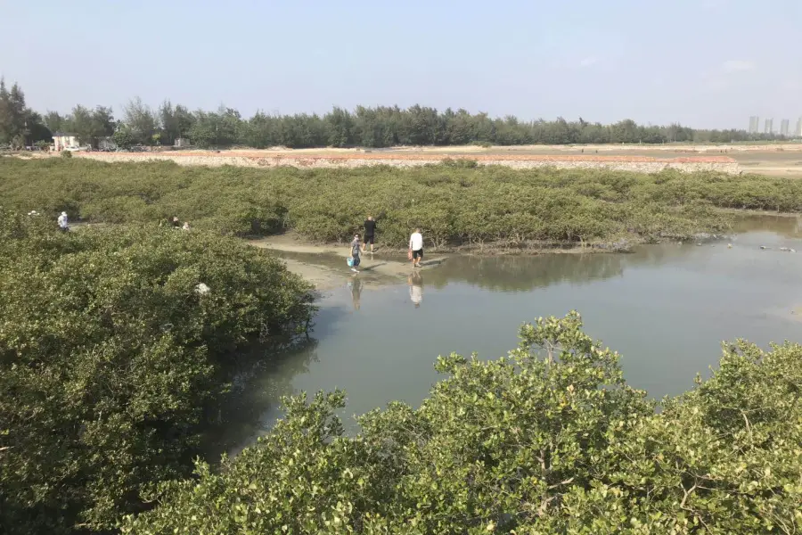 Guanfu Beach Combing Area