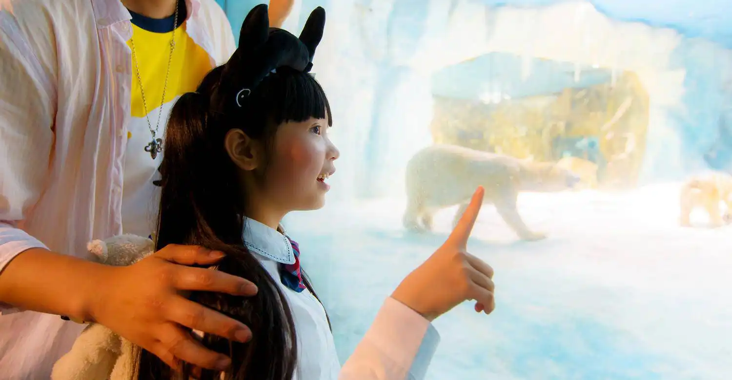 Hotels near Chimelong Ocean Kingdom - Polar Bear Hall