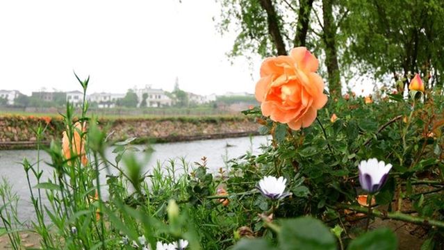 Huaxi Valley, Mount Lu