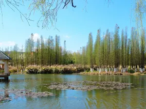 Yingyuetan Hot Springs