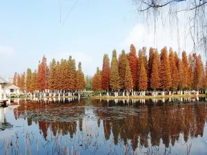 Yingyuetan Hot Springs