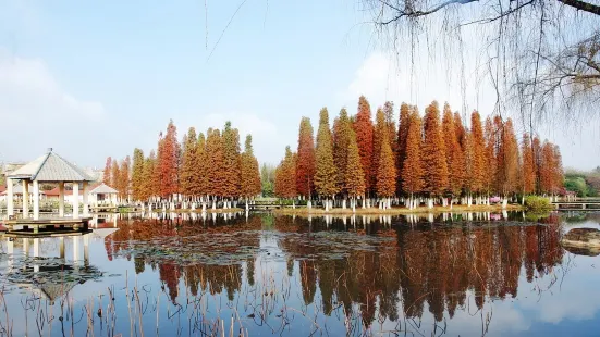 Yingyuetan Hot Springs