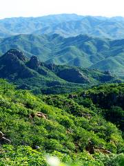 Daheishan Forest Park