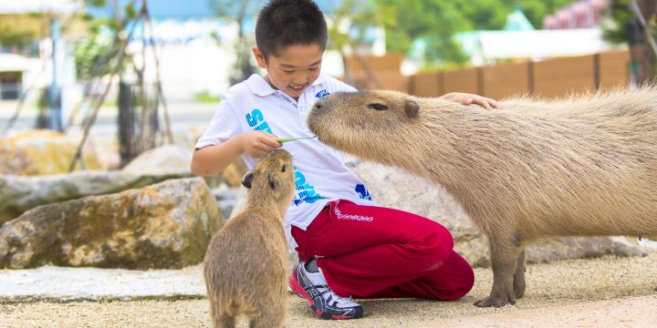 Nasu Animal Kingdom