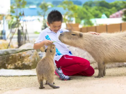ที่เที่ยวแนะนำยอดนิยมในนาสุ