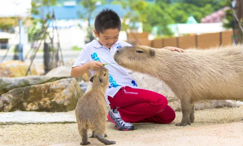 那須動物王國