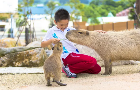 那須動物王國門票成人（13歲或以上）