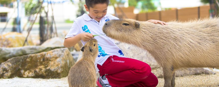 Nasu Animal Kingdom
