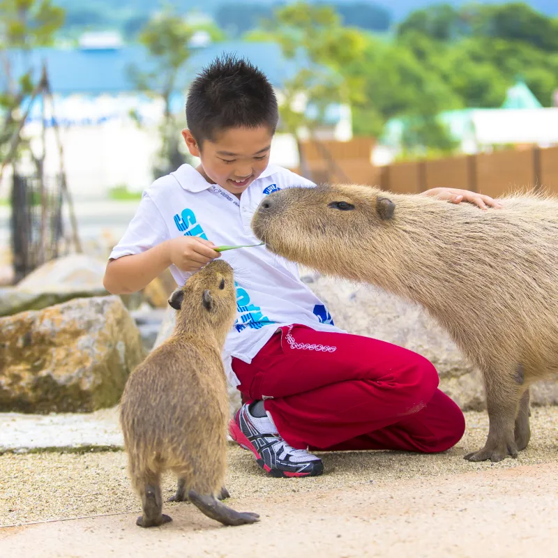那須動物王國