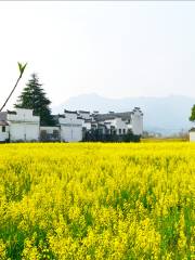 Taohuatan (“Peach Blossom Pool”)