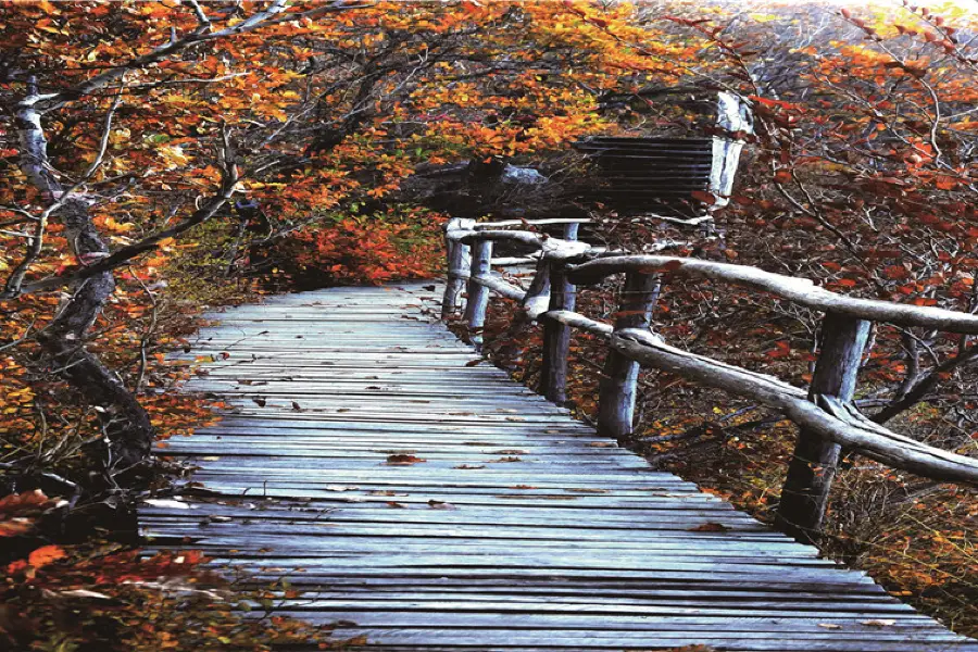 National Diaoshuihu Forest Park