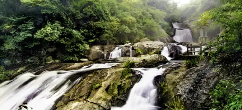 Fengxin İlçesi otelleri