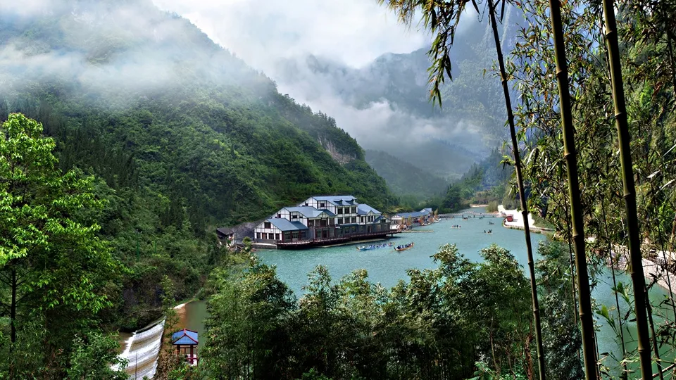 5_三峽竹海