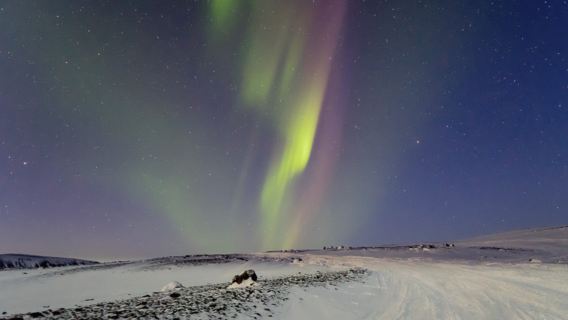Aurora Borealis-Erlebnistour in Reykjavik, Island mit optionalem Hin- und Rücktransfer