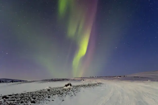 Iceland Aurora