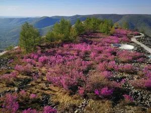 Arxan Bailang Peak Scenic Area